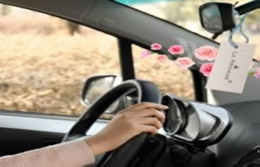 Car Wash Tips to Improve Profits with Air Fresheners